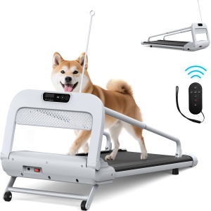Hondenloopband ROLIPO - pet treadmill - loopband voor honden - hondenloopmachine met verstelbare snelheid - stille 2,5 PK motor - inklapbaar - voor kleine en middelgrote honden - 125,5 x 56 x 96 cm